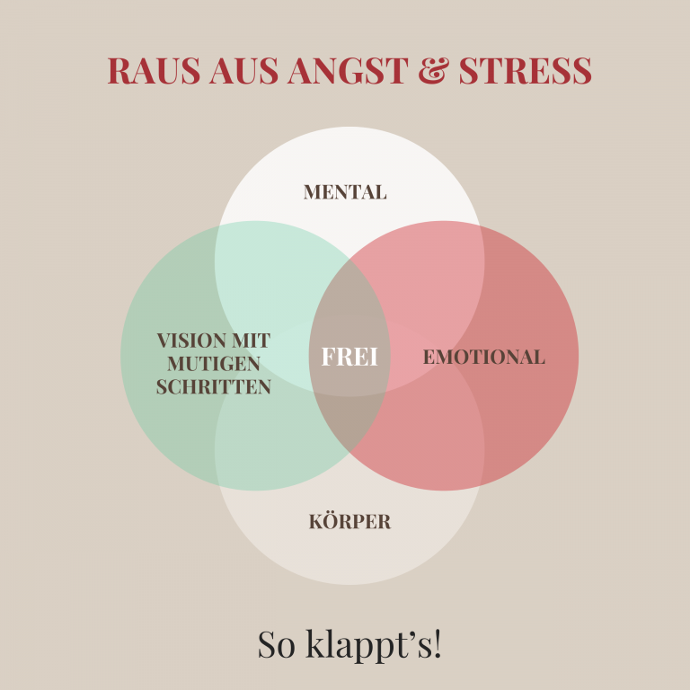Grafik von Manuela Paolini mit 4 Bereichen, die es im Zusammenspiel für ein erfolgreiches Angst & Stress Coaching braucht